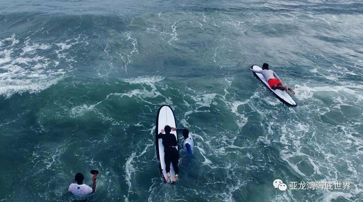 设立村级寄递物流综合服务公益性岗位助力乡村振兴