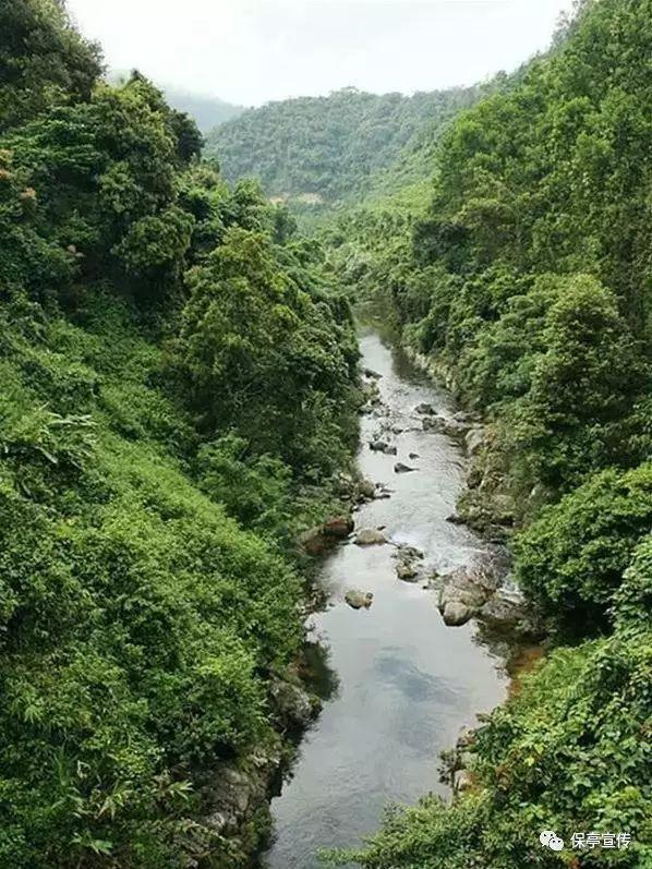 泡泡趴